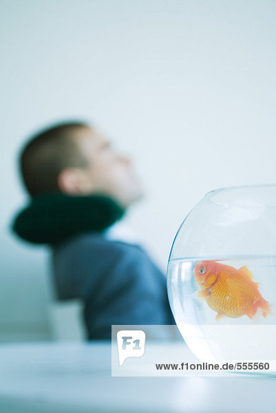 Goldfish in fishbowl  businessman resting in background