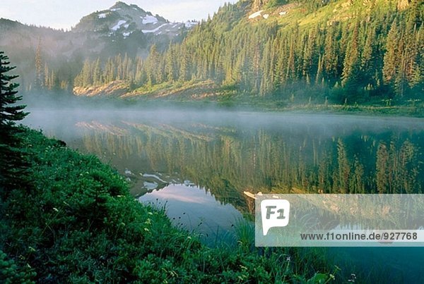 Morgennebel auf Reflexion See (Morgen  August). Mount-Rainier-Nationalpark. Washington. USA