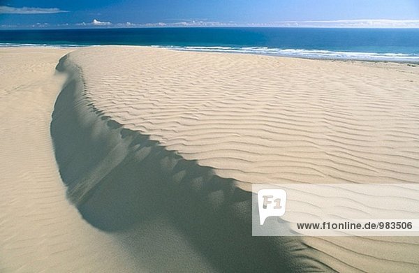 Sand dune patterns. Te Paki. Northland. New Zealand.