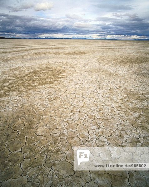 Black Rock Desert Playa. Humboldt County  Nevada. USA