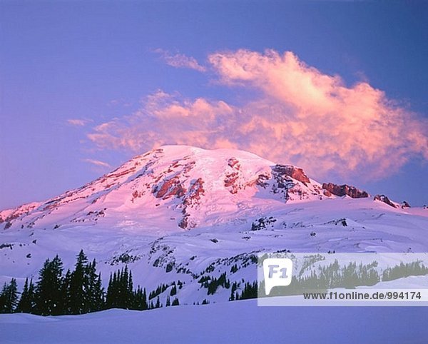 Winter Morgendämmerung über Mount Rainier. Mount-Rainier-Nationalpark. Washington. USA.