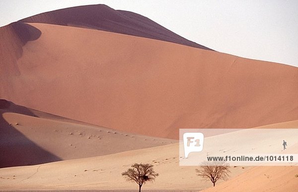 Wandern auf Dünen. Namib-Wüste. Namibia