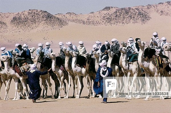Tuareg Fahrer erfassen für das Rennen beginnen bei der jährlichen Sebiba Kamel-Rennen. Djanet Oase. Tassili N´Ajjer. Sahara. South Algerien