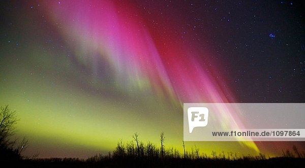 Nordlichter über Elk Island-Nationalpark in Alberta Kanada