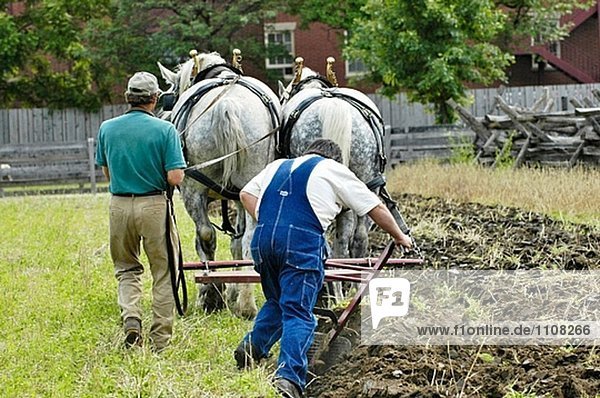 Historische Farm Pflügen mit Team der Pferde im Greenfield Village und Henry Ford Museum befindet sich an Dearborn Michigan arbeiten