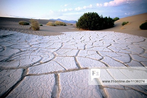 Salz Einzahlung. Wüste. Death Valley. Kalifornien. USA.