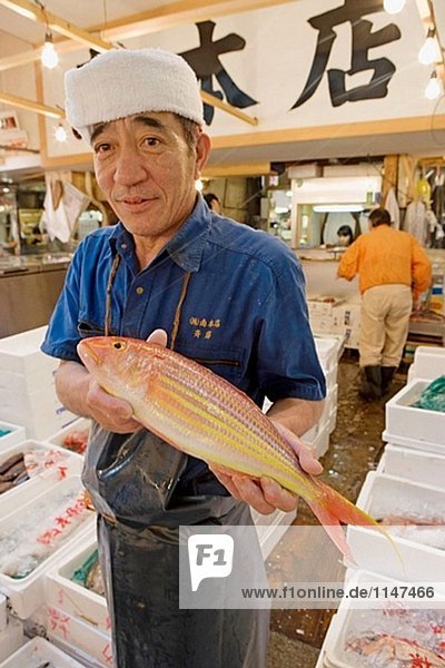 Tsukiji Fisch Markt  der größten Großhandel Fisch und Meeresfrüchte Markt der Welt. Tokyo  Japan