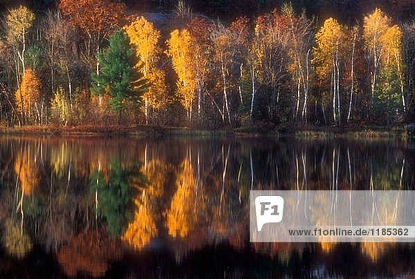 Herbstbäume spiegelt sich in Griffin See. Espanola. Ontario  Kanada