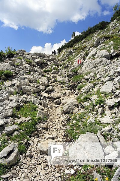 Low angle view of mountain  Salzkammergut  Upper Austria  Austria