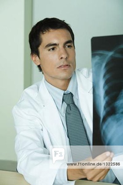 Doctor studying x-ray