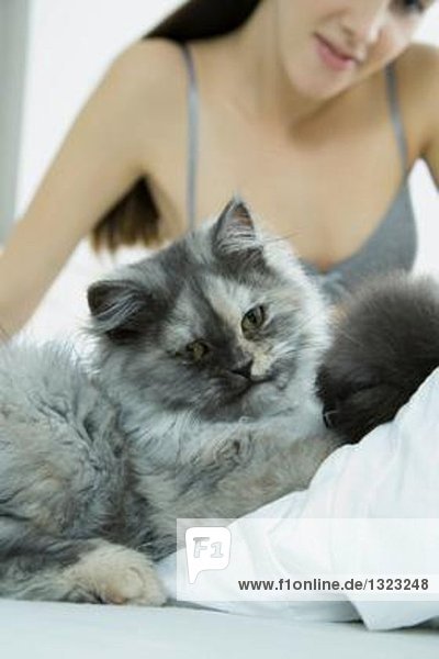Frau auf dem Bett sitzend mit Katze,  Fokus auf Katze im Vordergrund