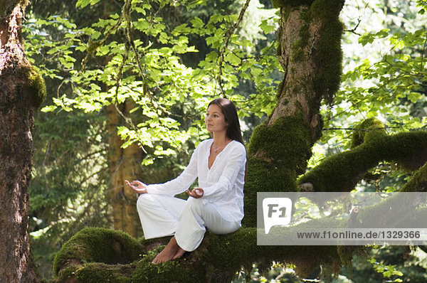 Junge Frau beim Meditieren auf Baumzweig  Seitenansicht