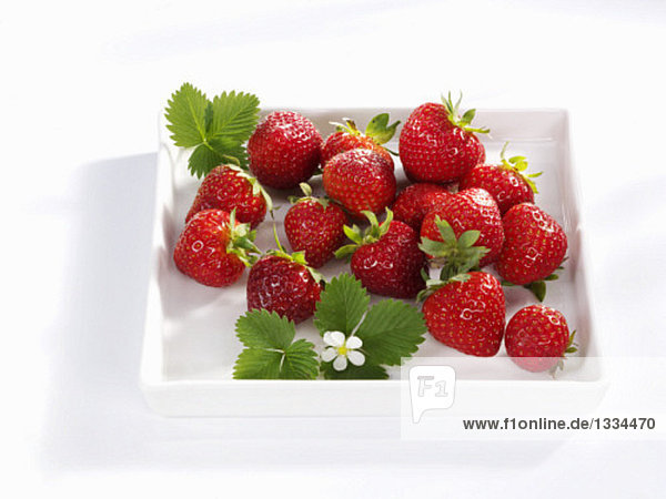 Erdbeeren in einer Schale