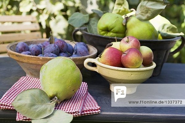Pflaumen  Äpfel und Quitten in Schalen auf Gartentisch