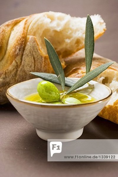 Grüne Oliven am Zweig in Schale mit Olivenöl  Weissbrot