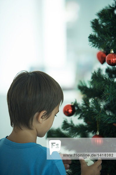 Junge schmückt Weihnachtsbaum