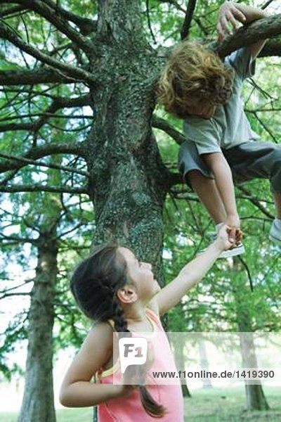 Boy in tree holding hands with sister standing below