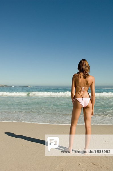 Rear view of a woman on a beach