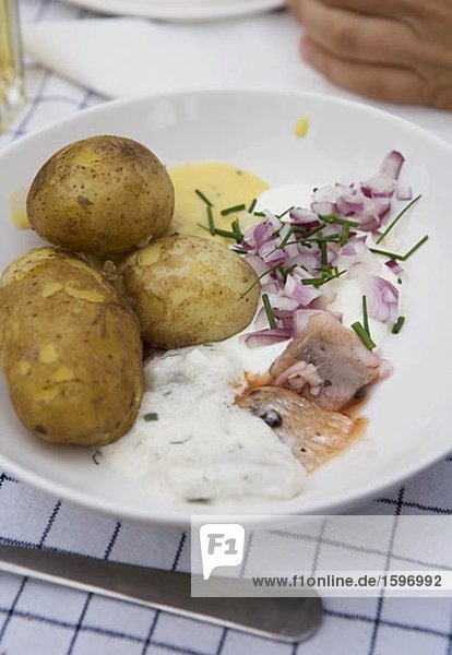 Platte mit Kartoffeln Hering gesäuerter Rahm roten Zwiebeln und Schnittlauch Vaxholm-Schweden.