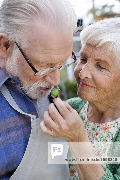 An elderly Scandinavian couple with basil Sweden.