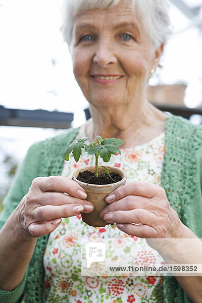 Alte skandinavische Frau zeigt eine Pflanze Schweden.