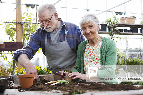 An elderly Scandinavian couple planting flowers Sweden.