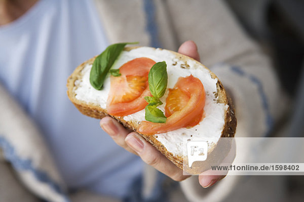 Sandwich with cheese tomato and basil Sweden.