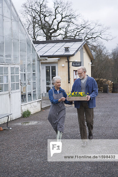 Ein älteres Ehepaar mit einem Blumenkasten außerhalb eines Gewächshauses Schweden.
