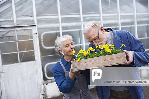 An older couple holding a flower box outside a greenhouse Sweden.