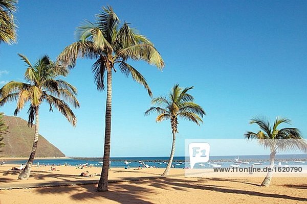 Strand. Santa Cruz De Tenerife. Teneriffa. Kanarischen Inseln. Spanien