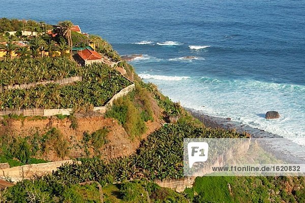 Banane Bauernhof Hof Höfe Kanaren Kanarische Inseln Plantage Spanien Teneriffa