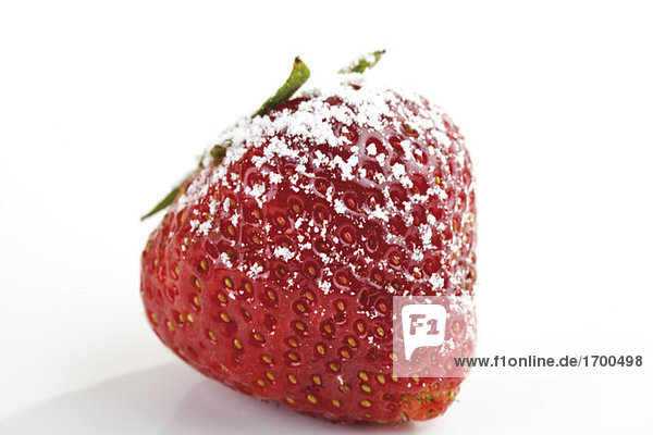 Erdbeere mit Puderzucker  Nahaufnahme