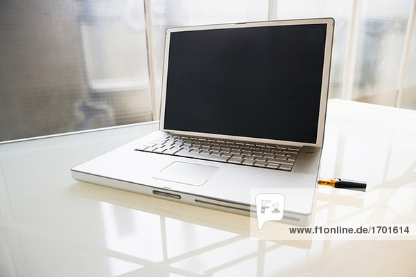 Laptop mit USB-Stick  Nahaufnahme