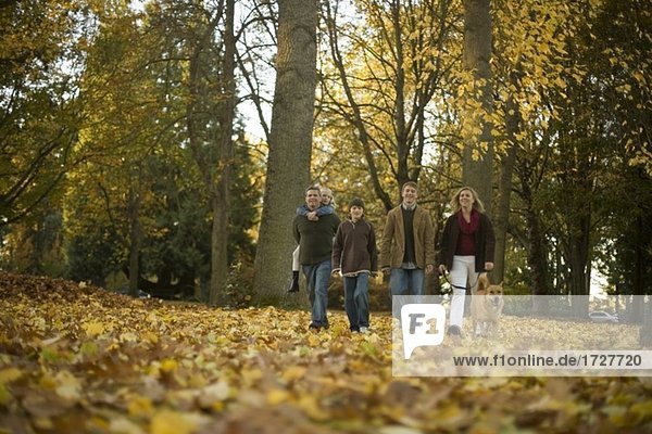 Familienwanderung durch Park im Herbst