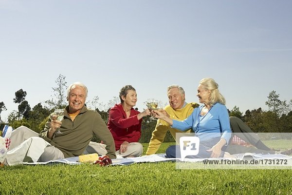 Senior couples having a picnic in meadow