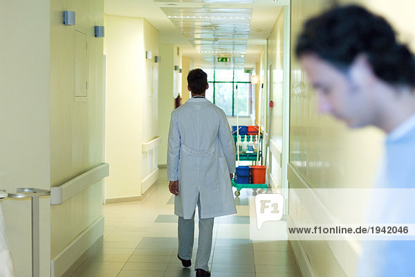 Male doctor walking in hospital corridor  full length  rear view  man in foreground