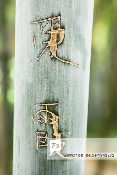 Chinesische Schriftzeichen in Bambus geschnitzt  Nahaufnahme