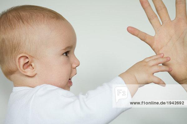 Baby greift nach der Hand des Erwachsenen  Ausschnittansicht