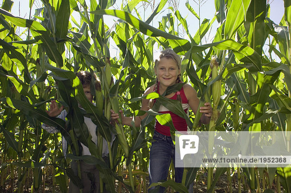 Junge und Mädchen spielen im Maisfeld