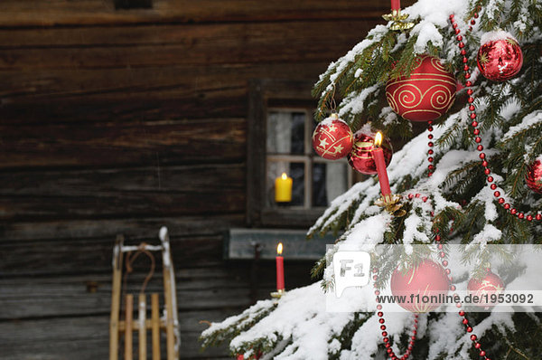 Weihnachtsbaum mit Schnee bedeckt  Nahaufnahme