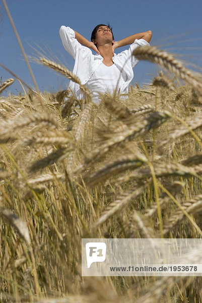 Young man standing in cornfield  hand on hand