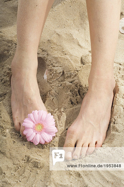Woman standing on sand flower between toes  low section