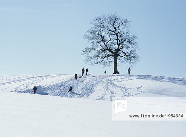 People luging on a hill  Germany