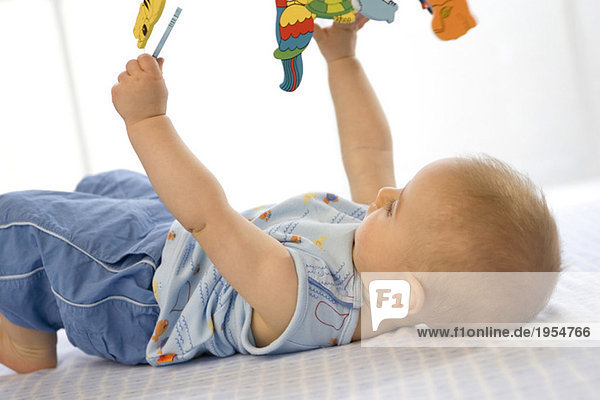 Junge (6-12 Monate) auf dem Rücken liegend  Spielzeug haltend