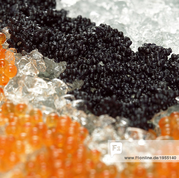 Roter und schwarzer Kaviar auf Crushed Ice  Nahaufnahme