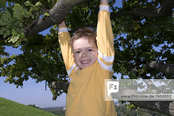 Boy hanging on tree  portrait
