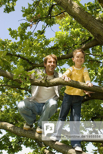 Father and son (4-7) on tree  low angle view