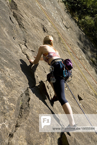 Young woman rock climbing  low angle view