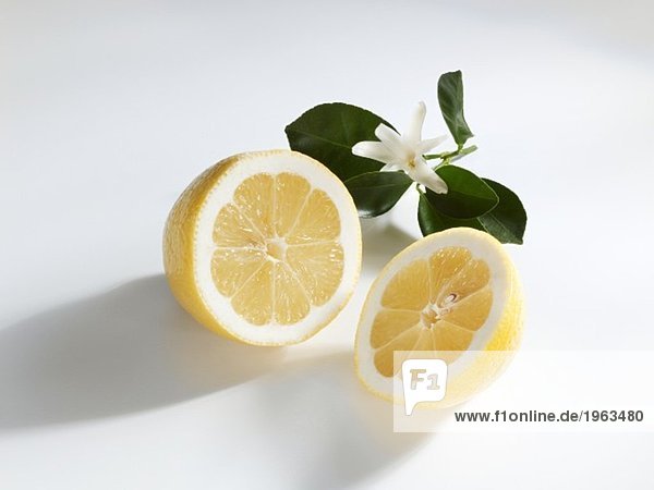 Halbierte Zitrone mit Zweig und Blüte