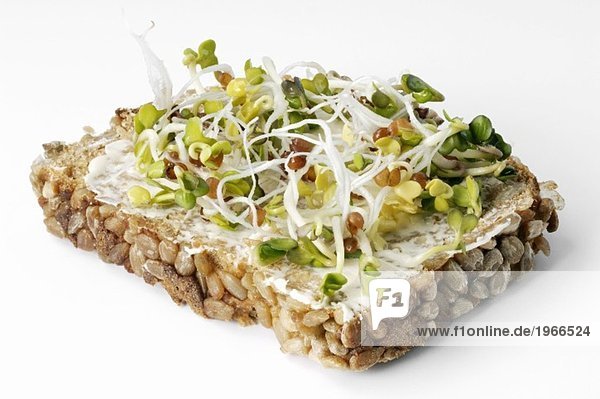Vollkornbrot mit Butter und Rettichsprossen